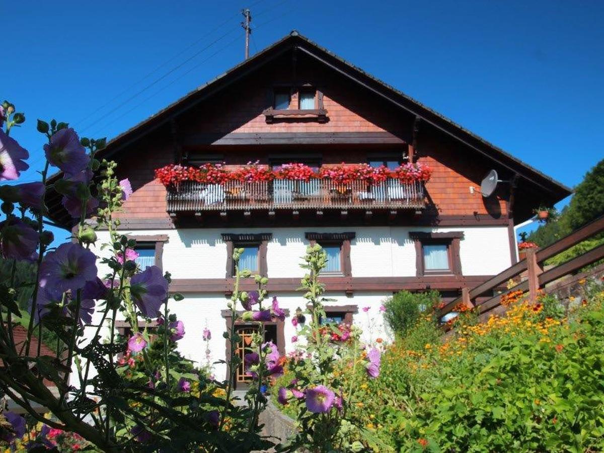 Gästehaus Heimenberg Bad Rippoldsau-Schapbach Exterior foto